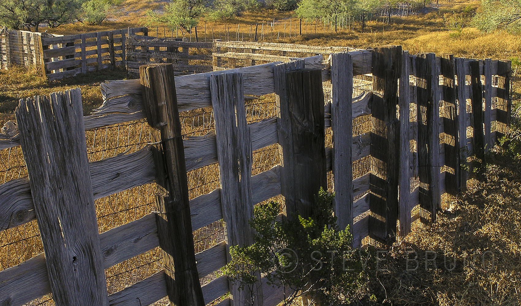 Old West Fence - Steve Bruno