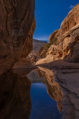 Reflections in a creek in Red Rock Nevada - Steve Bruno - gottatakemorepix