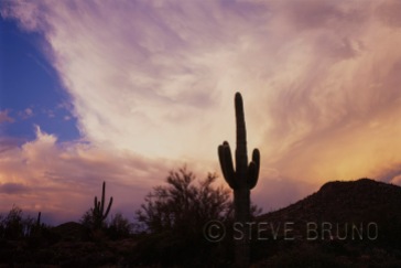 Dramatic sky over sonoran desert, Arizona